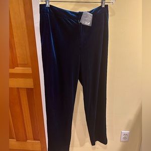 Forever 21 blue velvet pants.